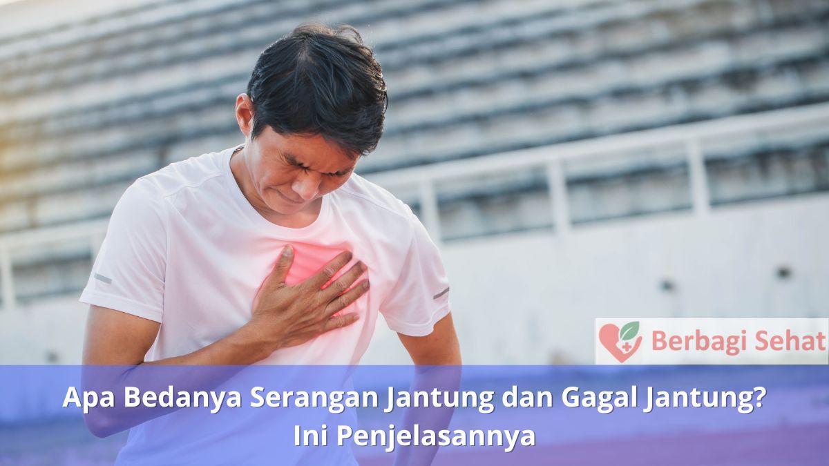 Apa Bedanya Serangan Jantung dan Gagal Jantung? Ini Penjelasannya 4 Apa Bedanya Serangan Jantung dan Gagal Jantung Ini Penjelasannya Olahraga Teratur