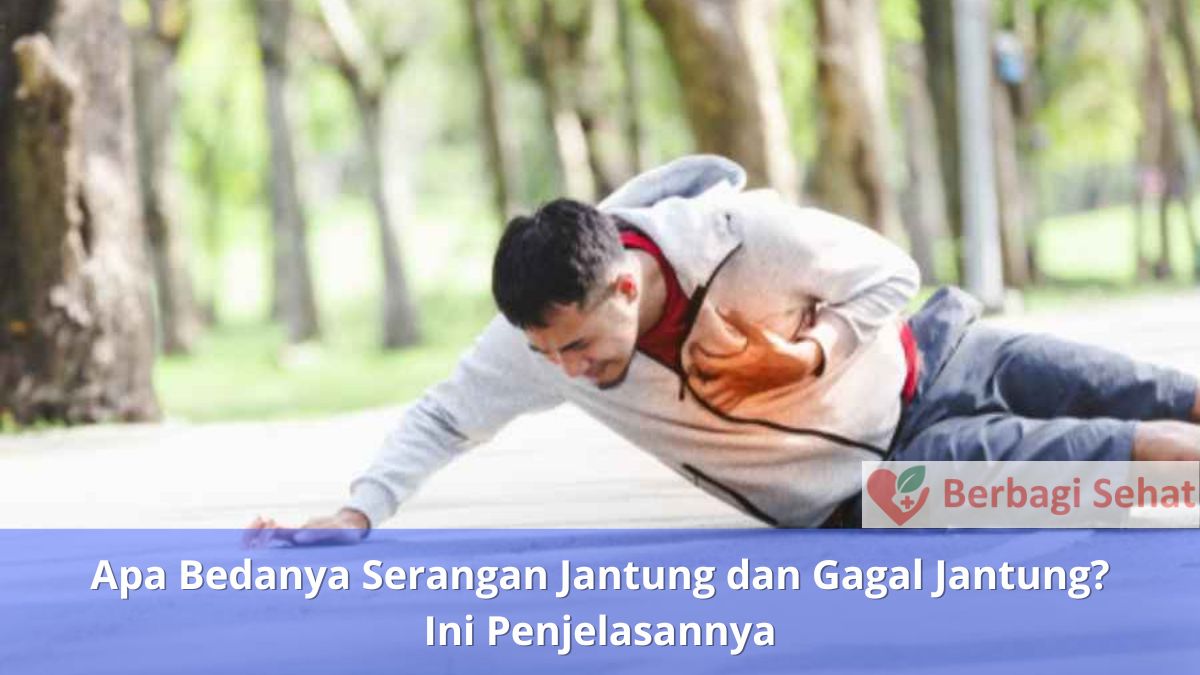 Apa Bedanya Serangan Jantung dan Gagal Jantung? Ini Penjelasannya 2 Apa Bedanya Serangan Jantung dan Gagal Jantung Ini Penjelasannya Pembengkakan Kaki