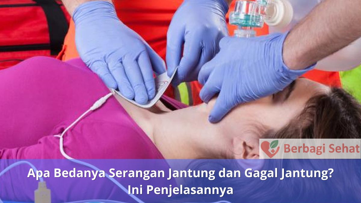 Apa Bedanya Serangan Jantung dan Gagal Jantung? Ini Penjelasannya 3 Apa Bedanya Serangan Jantung dan Gagal Jantung Ini Penjelasannya Penanganan