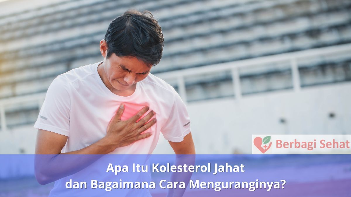 Apa Itu Kolesterol Jahat dan Bagaimana Cara Menguranginya? 2 Apa Itu Kolesterol Jahat dan Bagaimana Cara Menguranginya Serangan Jantung