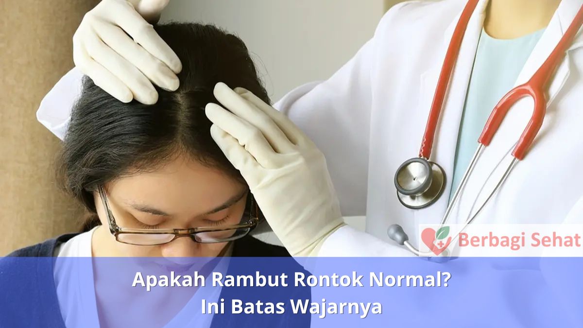 Apakah Rambut Rontok Normal? Ini Batas Wajarnya 3 Apakah Rambut Rontok Normal Ini Batas Wajarnya Dokter Rambut