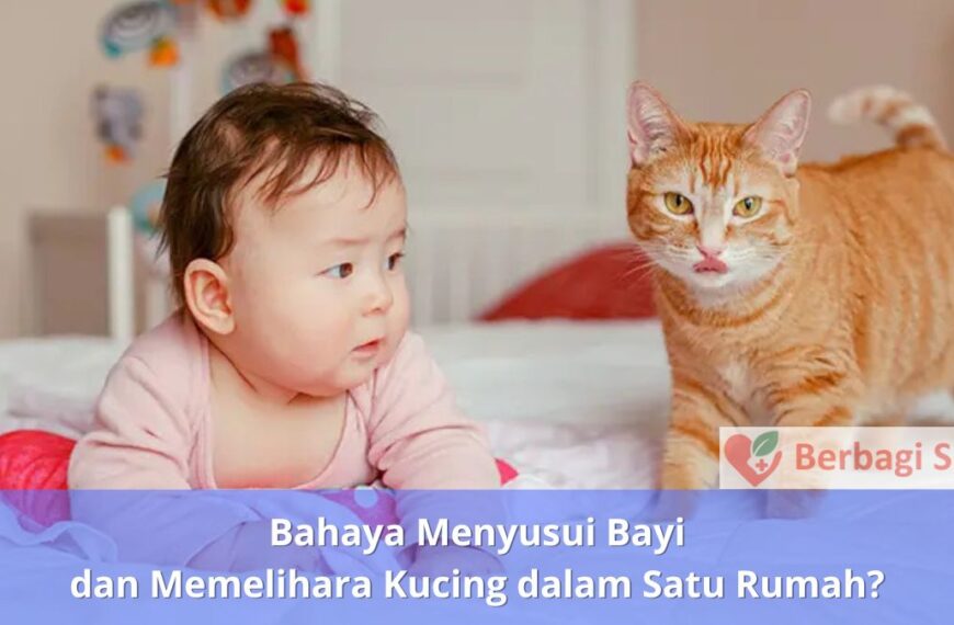 Bahaya Menyusui Bayi dan Memelihara Kucing dalam Satu Rumah