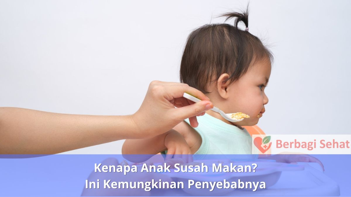 Kenapa Anak Susah Makan? Ini Kemungkinan Penyebabnya 1 Kenapa Anak Susah Makan Ini Kemungkinan Penyebabnya Perkembangan Anak