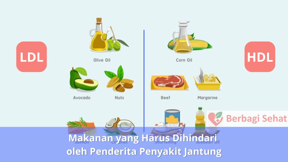 Makanan yang Harus Dihindari oleh Penderita Penyakit Jantung 1 Makanan yang Harus Dihindari oleh Penderita Penyakit Jantung LDL vs HDL