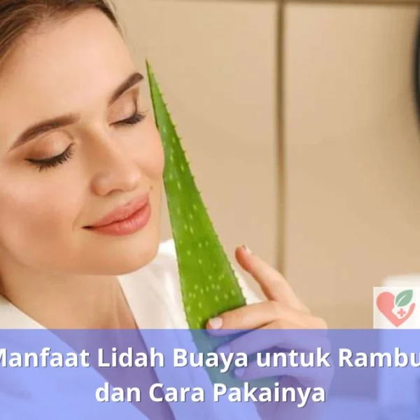Manfaat Lidah Buaya untuk Rambut dan Cara Pakainya - Keramas