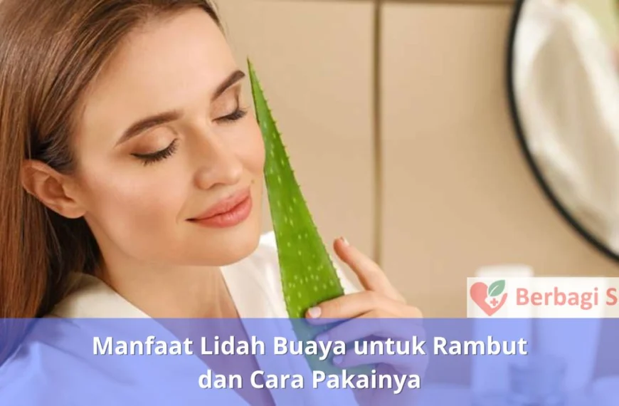 Manfaat Lidah Buaya untuk Rambut dan Cara Pakainya - Keramas