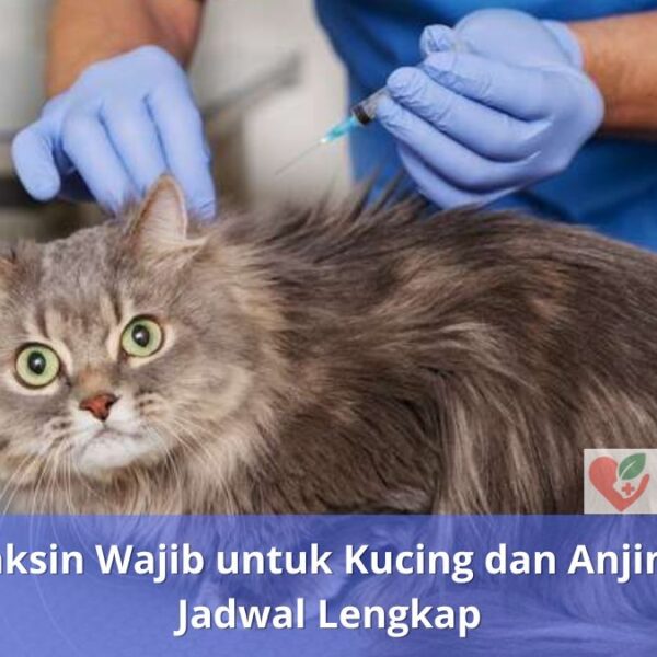 Vaksin Wajib untuk Kucing dan Anjing Jadwal Lengkap