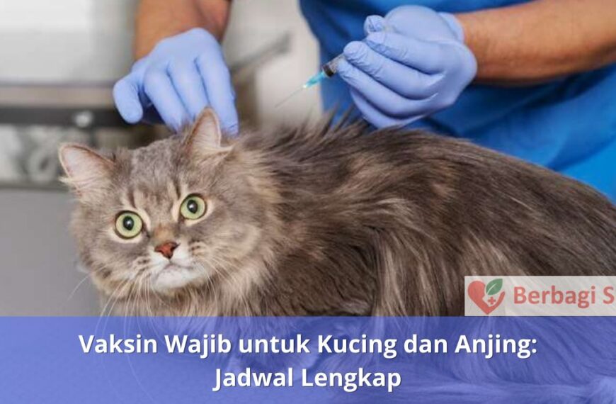 Vaksin Wajib untuk Kucing dan Anjing Jadwal Lengkap
