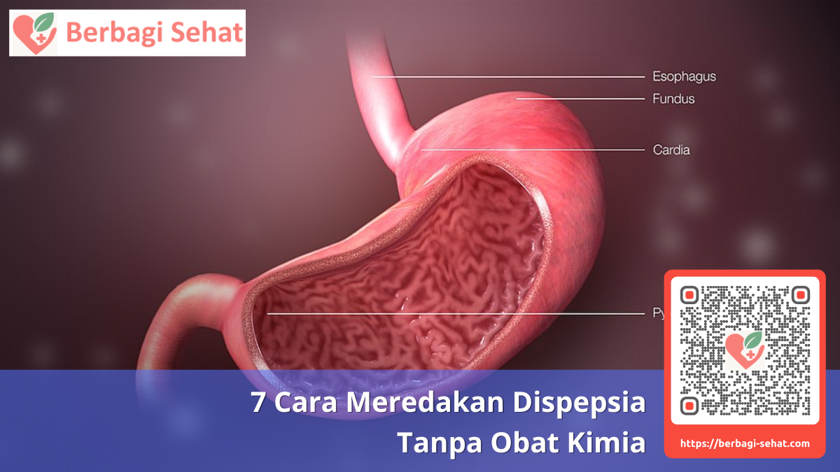 7 Cara Meredakan Dispepsia Tanpa Obat Kimia 1 Apa Itu Dispepsia dan Gejalanya