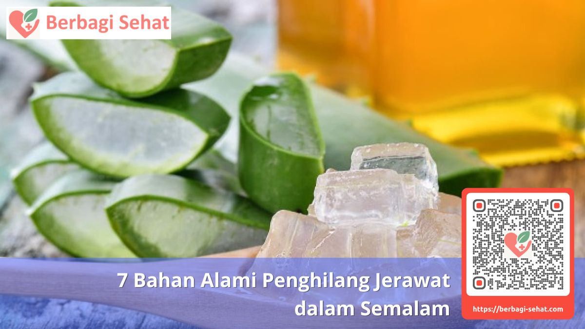 7 Bahan Alami Penghilang Jerawat 4 Cara Aplikasi yang Benar Hilangkan Jerawat