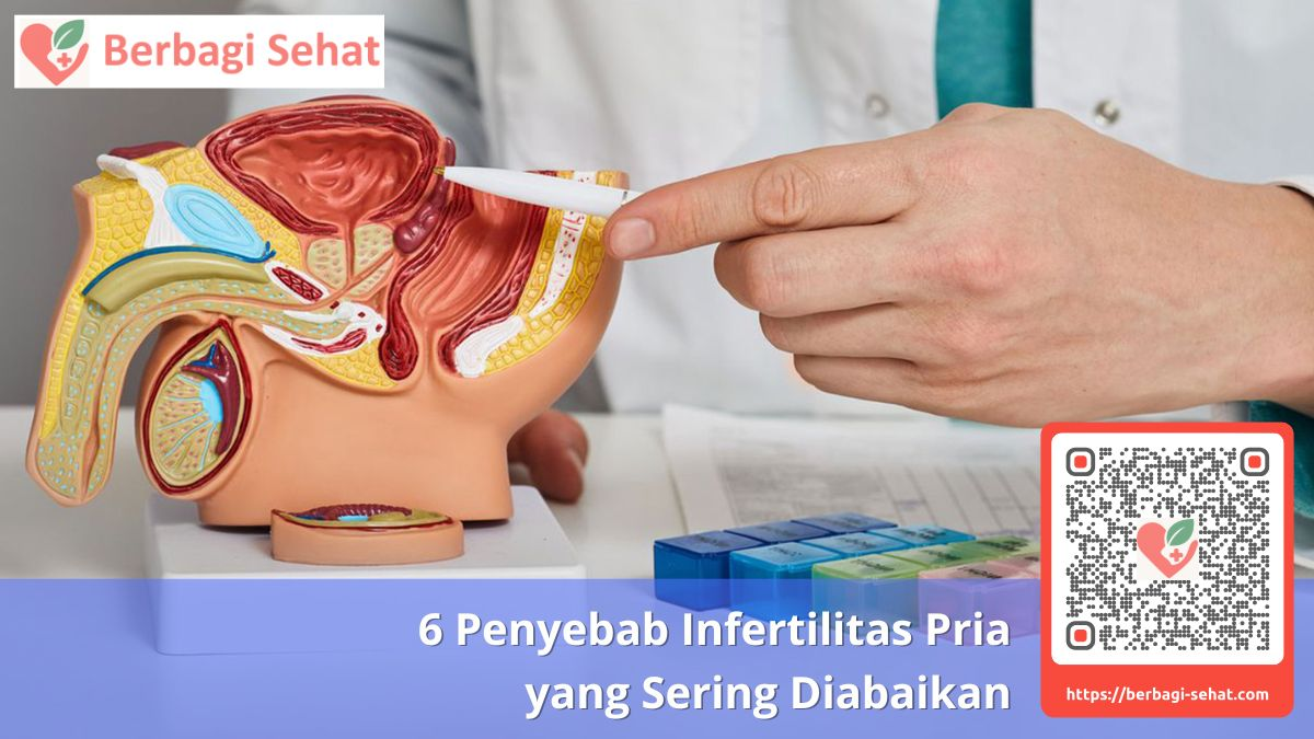6 Penyebab Infertilitas Pria yang Sering Diabaikan 1 Memahami Sistem Reproduksi Pria