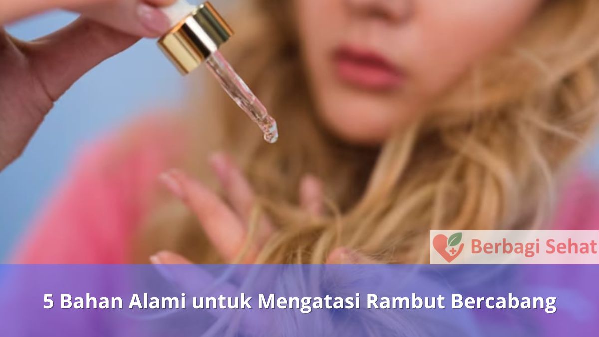 5 Bahan Alami untuk Mengatasi Rambut Bercabang Cara Pakai Minyak Zaitun