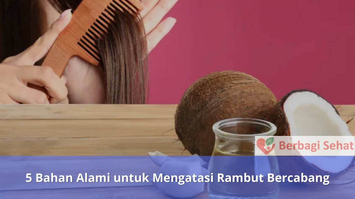 5 Bahan Alami untuk Mengatasi Rambut Bercabang Minyak Kelapa