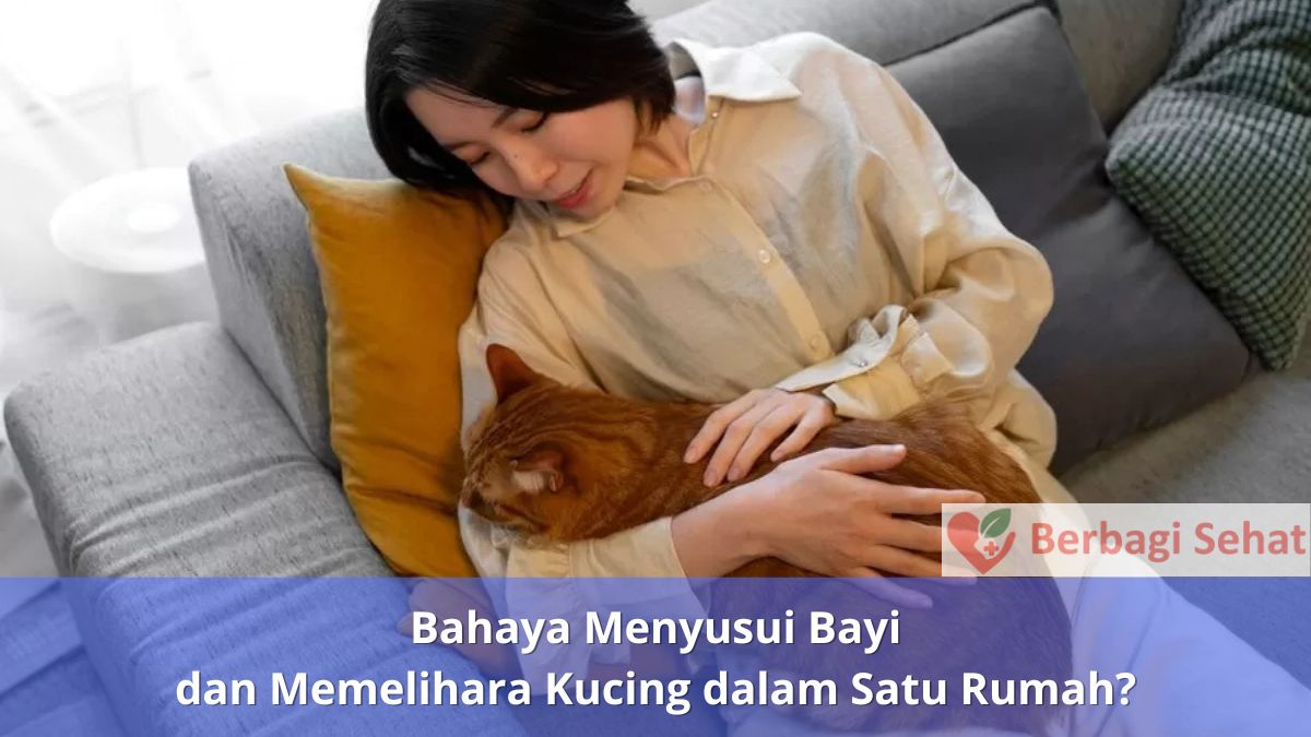 Bahaya Menyusui Bayi dan Memelihara Kucing dalam Satu Rumah Wanita Elus Kucing