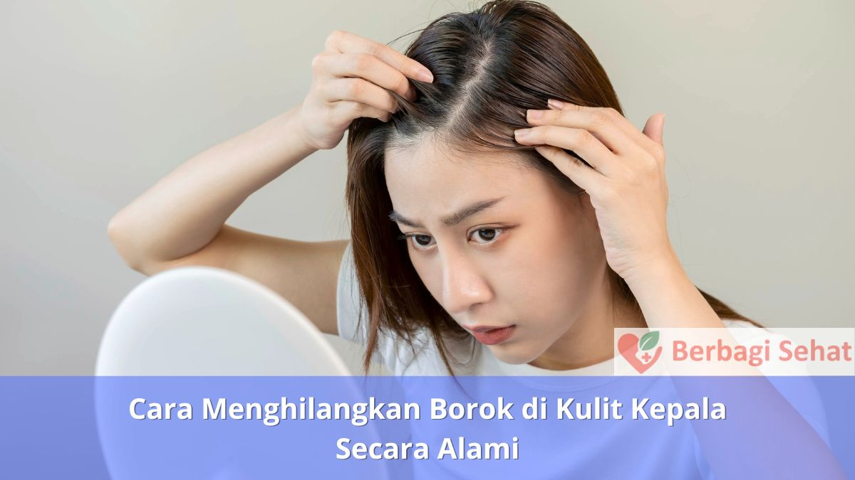 Cara Menghilangkan Borok di Kulit Kepala Secara Alami Penyebab