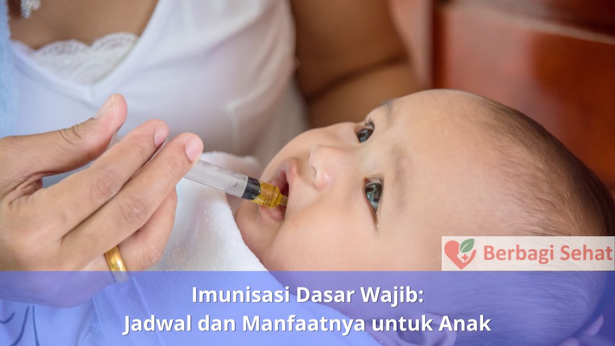 Imunisasi Dasar Wajib Jadwal dan Manfaatnya untuk Anak Imunisasi Bayi