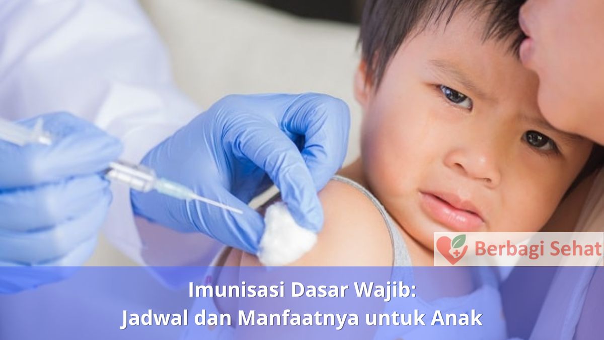 Imunisasi Dasar Wajib Jadwal dan Manfaatnya untuk Anak Imunisasi Kejar
