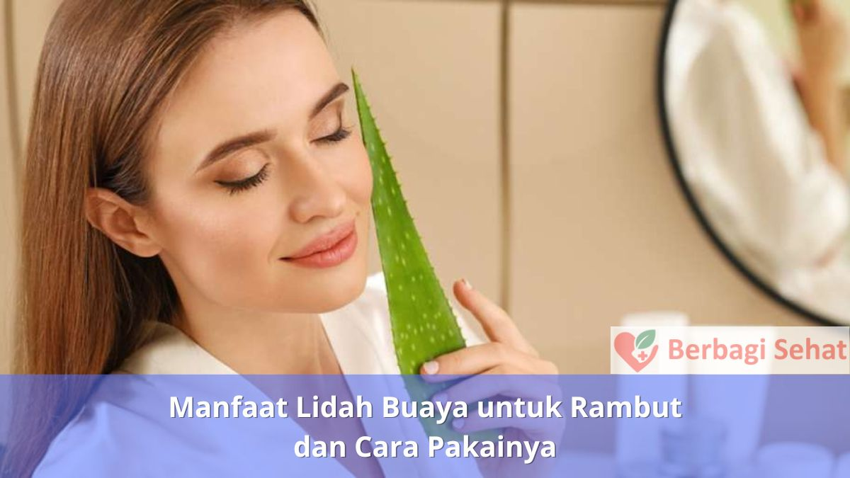 Manfaat Lidah Buaya untuk Rambut dan Cara Pakainya - Keramas