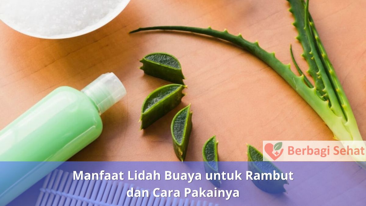 Manfaat Lidah Buaya untuk Rambut dan Cara Pakainya Seberapa Sering