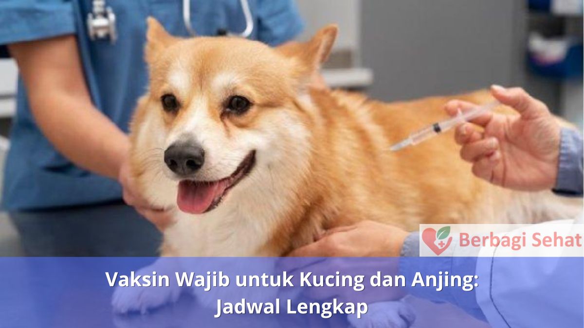 Vaksin Wajib untuk Kucing dan Anjing Jadwal Lengkap Anjing