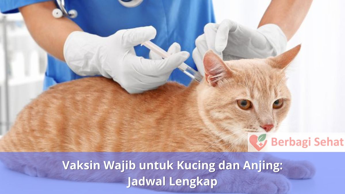 Vaksin Wajib untuk Kucing dan Anjing Jadwal Lengkap Kucing Vaksin