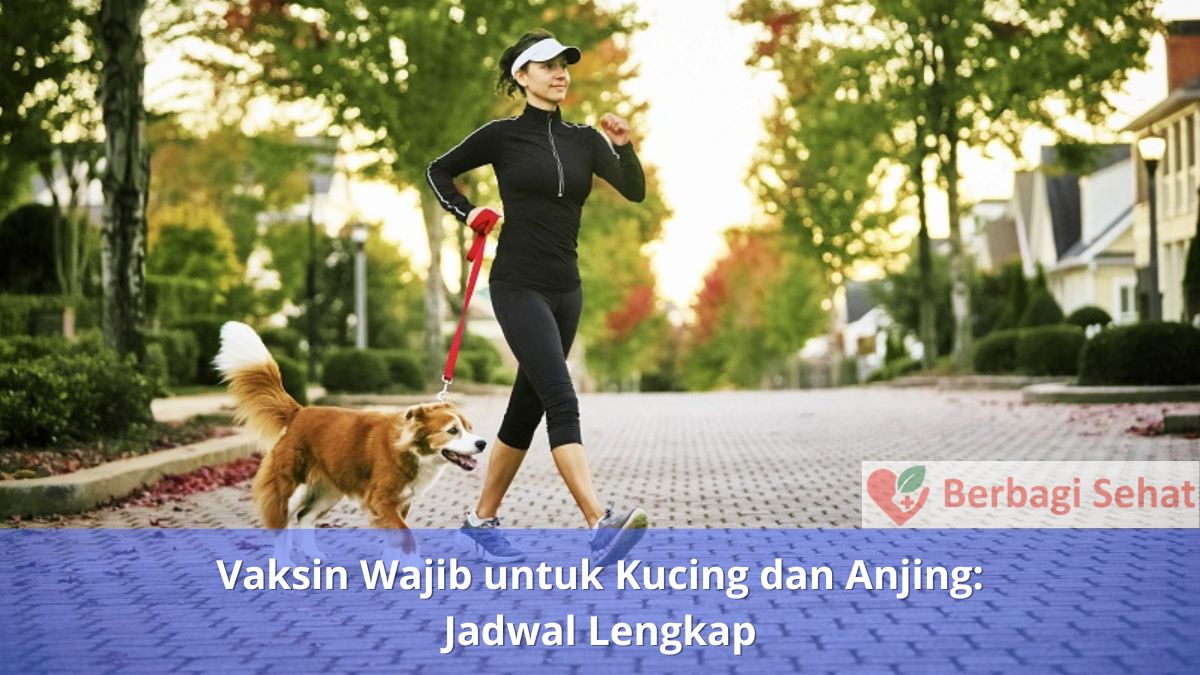 Vaksin Wajib untuk Kucing dan Anjing Jadwal Lengkap Manusia Anjing Olahraga