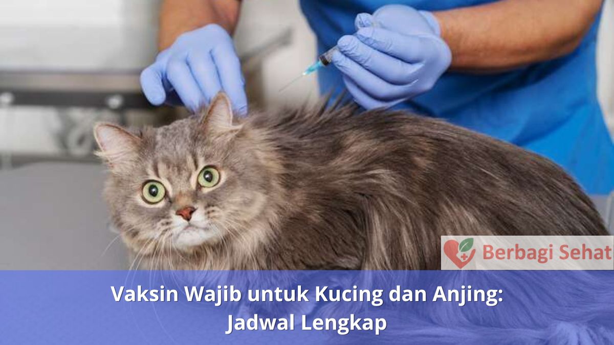 Vaksin Wajib untuk Kucing dan Anjing Jadwal Lengkap